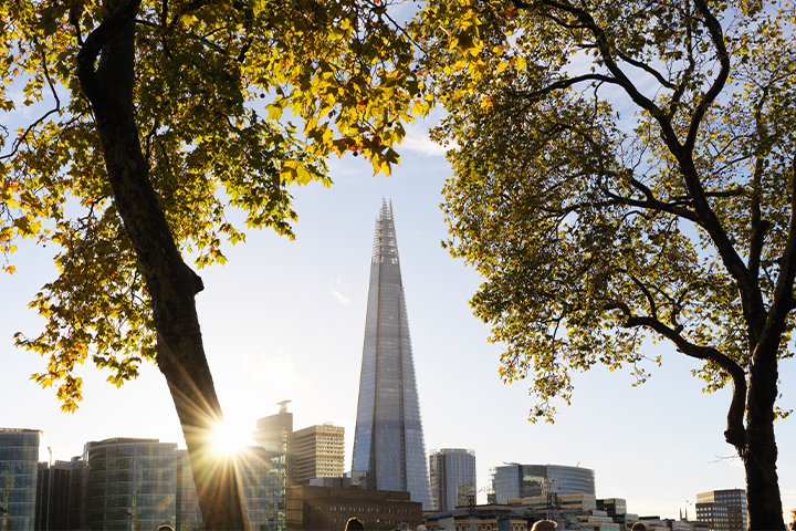 Office Landscape London, UK